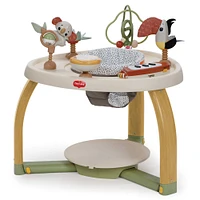 Tiny Love 5-in-1 Here I Grow Stationary Activity Center - Boho Chic Collection