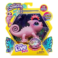 Little Live Pets Lil' Chameleon Single Pk Nova