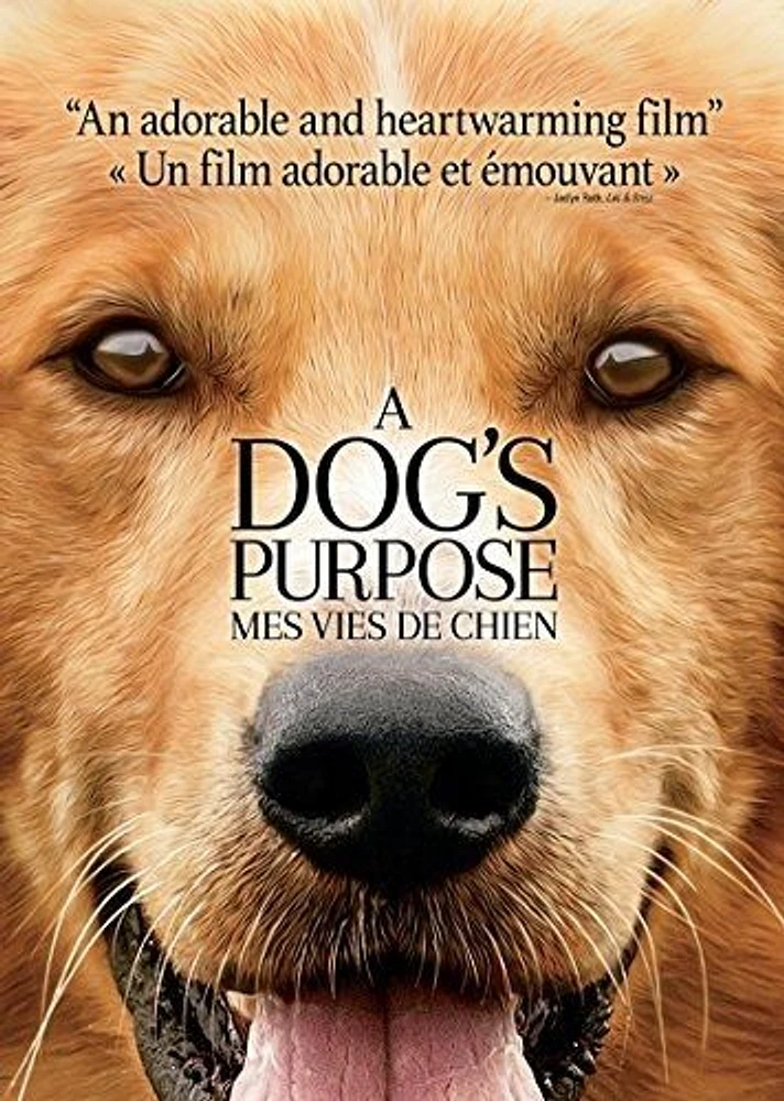 A Dog's Purpose (Bilingual)