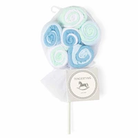 Tendertyme 12 Pack Lollipop Washcloth