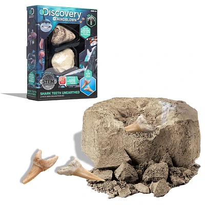 Toy Excavation Kit Mini Shark Tooth 2pc