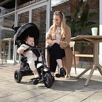 Rito Plus Folding Stroller/ Trike