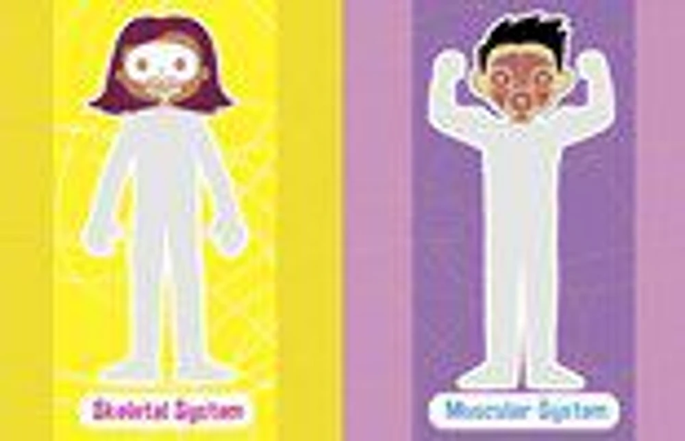 Jumbo Stickers For Lil Hands Human Body - English Edition