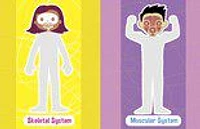 Jumbo Stickers For Lil Hands Human Body - English Edition