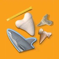 Discovery #MINDBLOWN Kit d'excavation de dents de requin déterrées, lot de 2