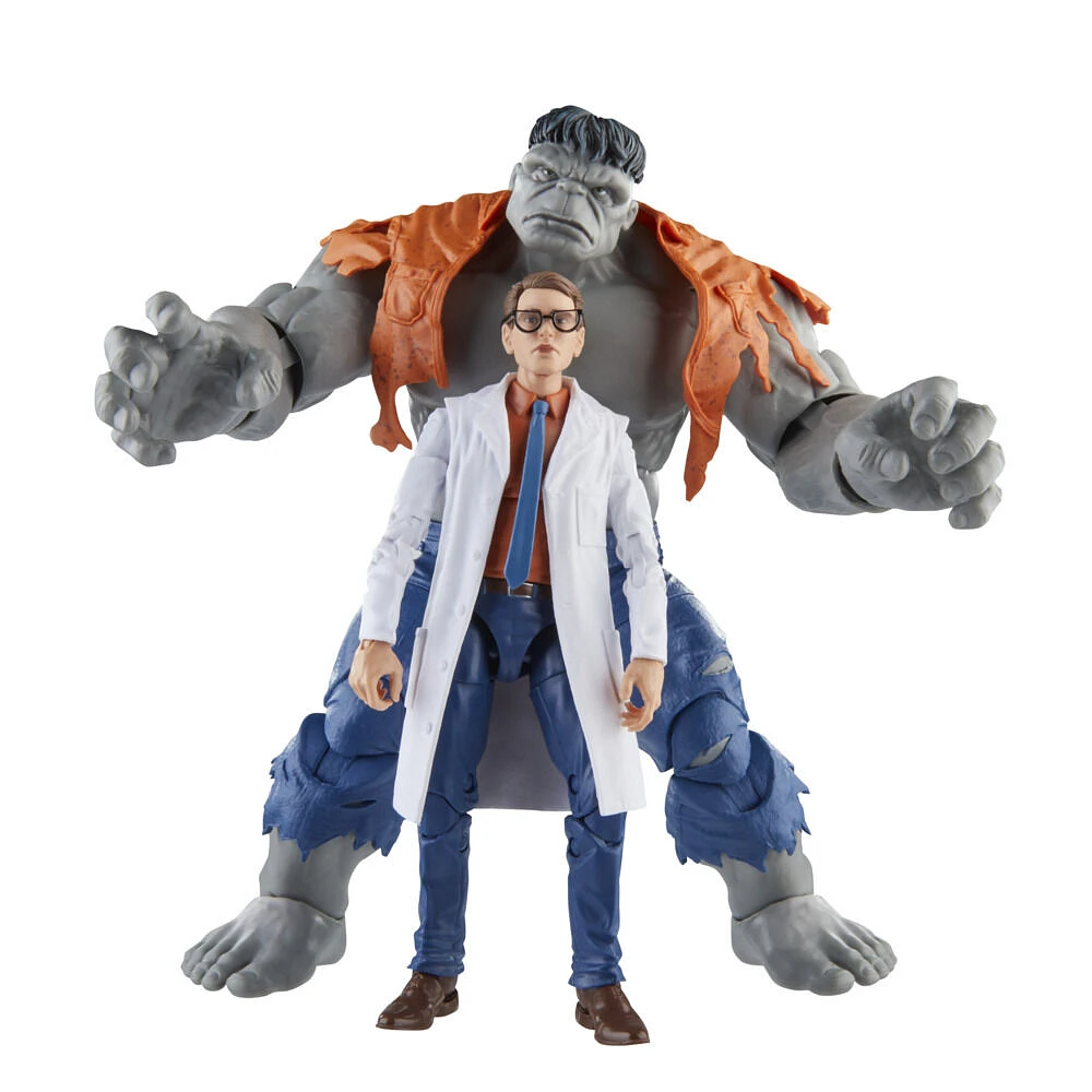 Hasbro Marvel Legends Series Gray Hulk and Dr. Bruce Banner, Avengers 60th Anniversary Collectible 6 Inch Action Figures