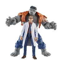 Hasbro Marvel Legends Series Gray Hulk and Dr. Bruce Banner, Avengers 60th Anniversary Collectible 6 Inch Action Figures