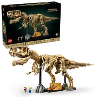 LEGO Jurassic World Dinosaur Fossils: Tyrannosaurus Rex - Building Set for Adults - Home Decor - 76968