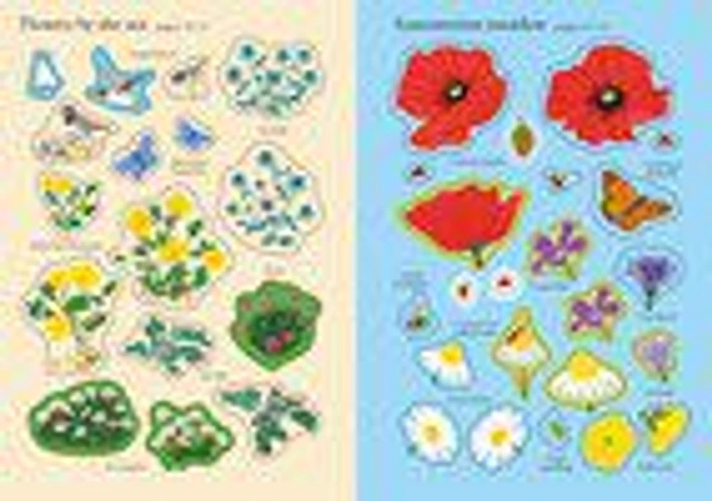 Little First Stickers: Wildflowers - English Edition