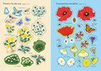 Little First Stickers: Wildflowers - English Edition