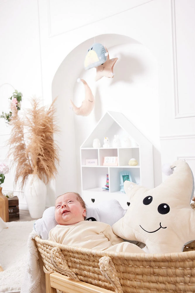 Around The Crib Kokoons Star Plush Light and Melodie Rose Smoke/Coffee