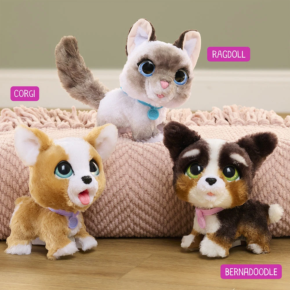 furReal Poop-A-Lots Corgi Interactive Toy