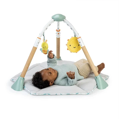 Ingenuity Tummy-to-Toes  6-in-1 Milestones Center