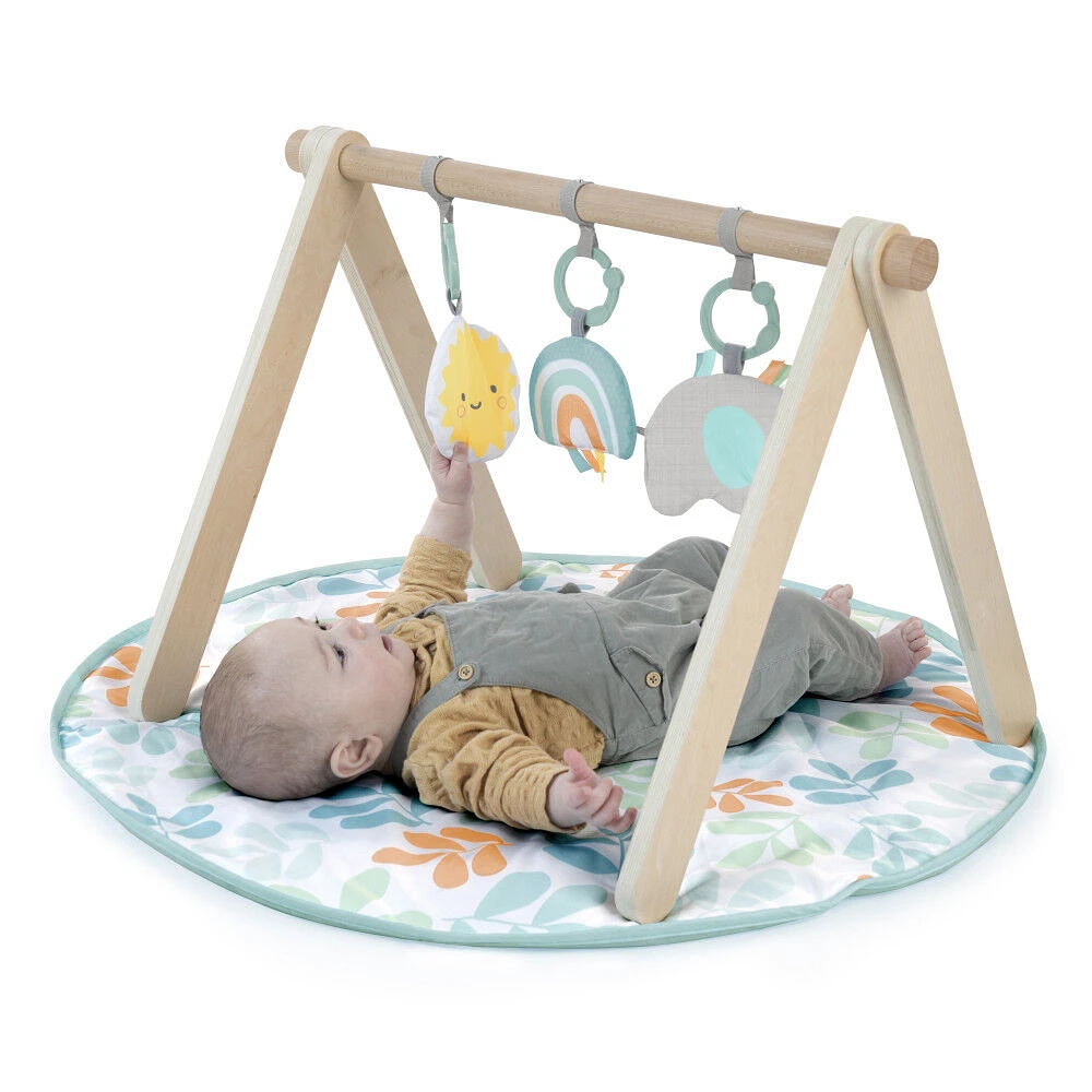 Arc d'activités naturelles d'Ingenuity Sun Valley Wooden Toy Arch et tapis d'éveil Play Mat