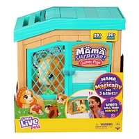 Little Live Pets Ensemble De Jeu Mama Surprise