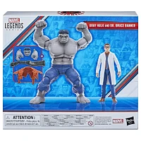 Hasbro Marvel Legends Series Gray Hulk and Dr. Bruce Banner, Avengers 60th Anniversary Collectible 6 Inch Action Figures