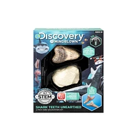 Toy Excavation Kit Mini Shark Tooth 2pc
