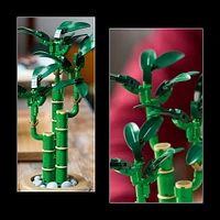 LEGO Botanique Le bambou de la chance, Décoration de plante, Cadeau pour les femmes, les hommes et les amoureux de la nature 10344