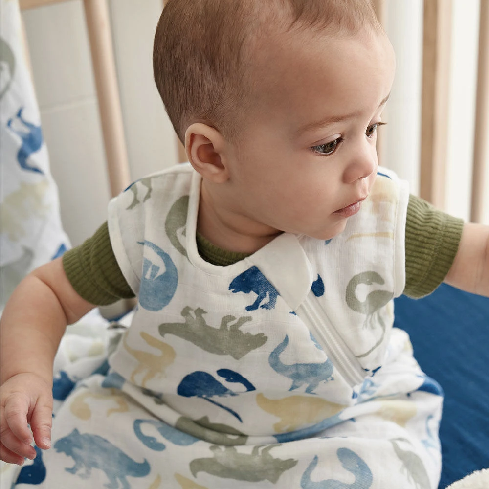 Perlimpinpin sleep bag 0.7 TOG-Brachio-0-6m