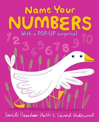 Name Your Numbers - Édition anglaise