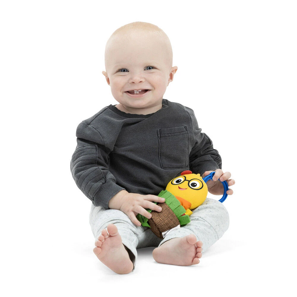 Baby Einstein Cal-a-Puller Pull & Shake Toy