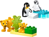 LEGO DUPLO Familles d'animaux sauvages : Pingouins et lions Jouet d'imagination pour un jeu créatif 10442