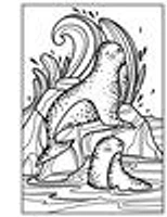 Usborne Minis: Magic Painting Seashore - Édition anglaise
