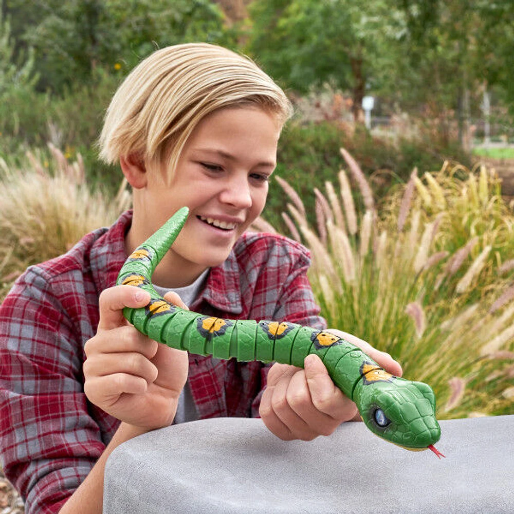 Zuru Robo Alive Slithering Snake Robotic Toy (Colour May Vary)