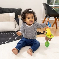 Jouet Cal-a-Puller Pull & Shake Toy de Baby Einstein