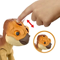 Jurassic World Rebirth Primal Protector Aquilops Dolores Interactive Dinosaur Toy, Attack & Sounds