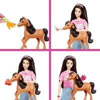 Barbie Mysteries The Great Horse ChasePony and Accessories