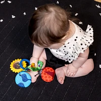 Baby Einstein Touch of Nature Sensory Toy