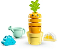 LEGO DUPLO Ma première culture de la carotte 10981 Ensemble de jeu de construction (11 pièces)