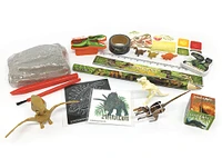 Dinosart - Calendrier de l'avent - 24 jours