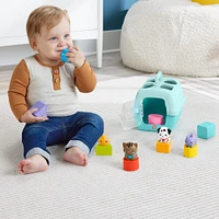 Fisher-Price FP Pets Sort & Stow Pet Carrier Baby & Toddler Shape Sorting Toy, 8 Blocks