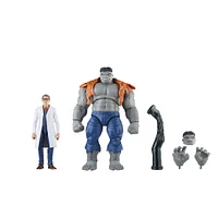 Hasbro Marvel Legends Series Gray Hulk and Dr. Bruce Banner, Avengers 60th Anniversary Collectible 6 Inch Action Figures