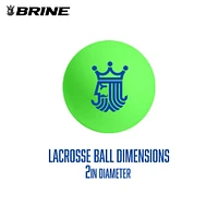 Brine Mini Lacrosse Net Combo Set