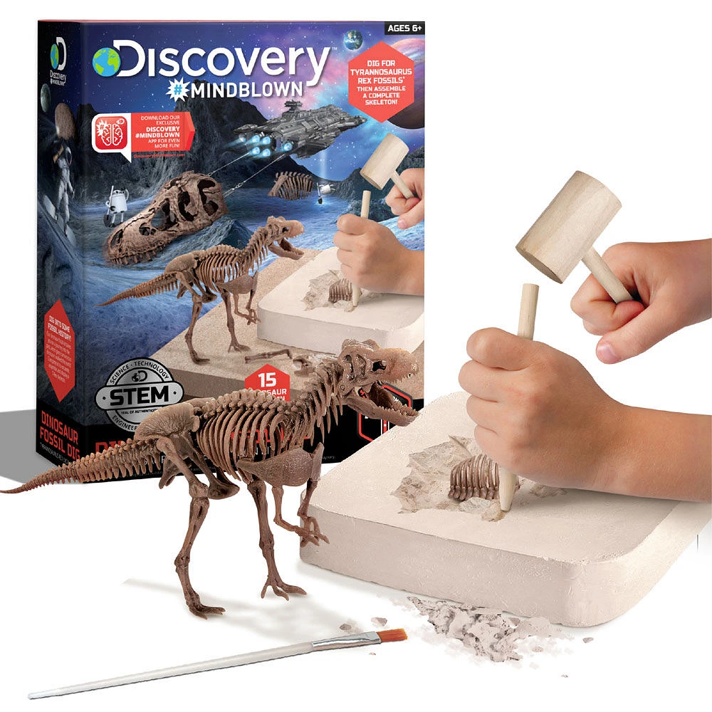 Toy Dinosaur Excavation Kit Skeleton 3D Puzzle - T Rex