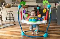 Baby Einstein Neighborhood Symphony Activity Jumper.