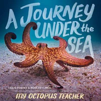A Journey Under the Sea - English Edition