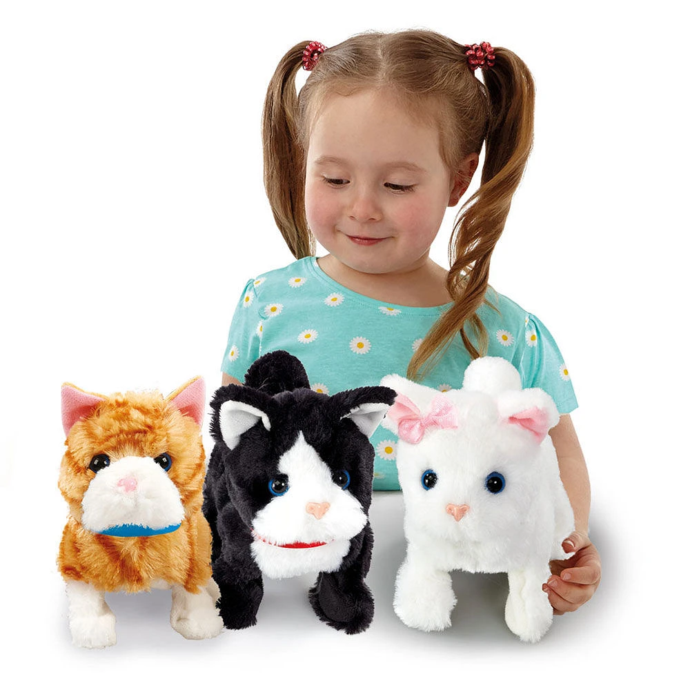 Pitter Patter Pets Pretty Little Kitty - L'assortiment peut varier, Un par achat