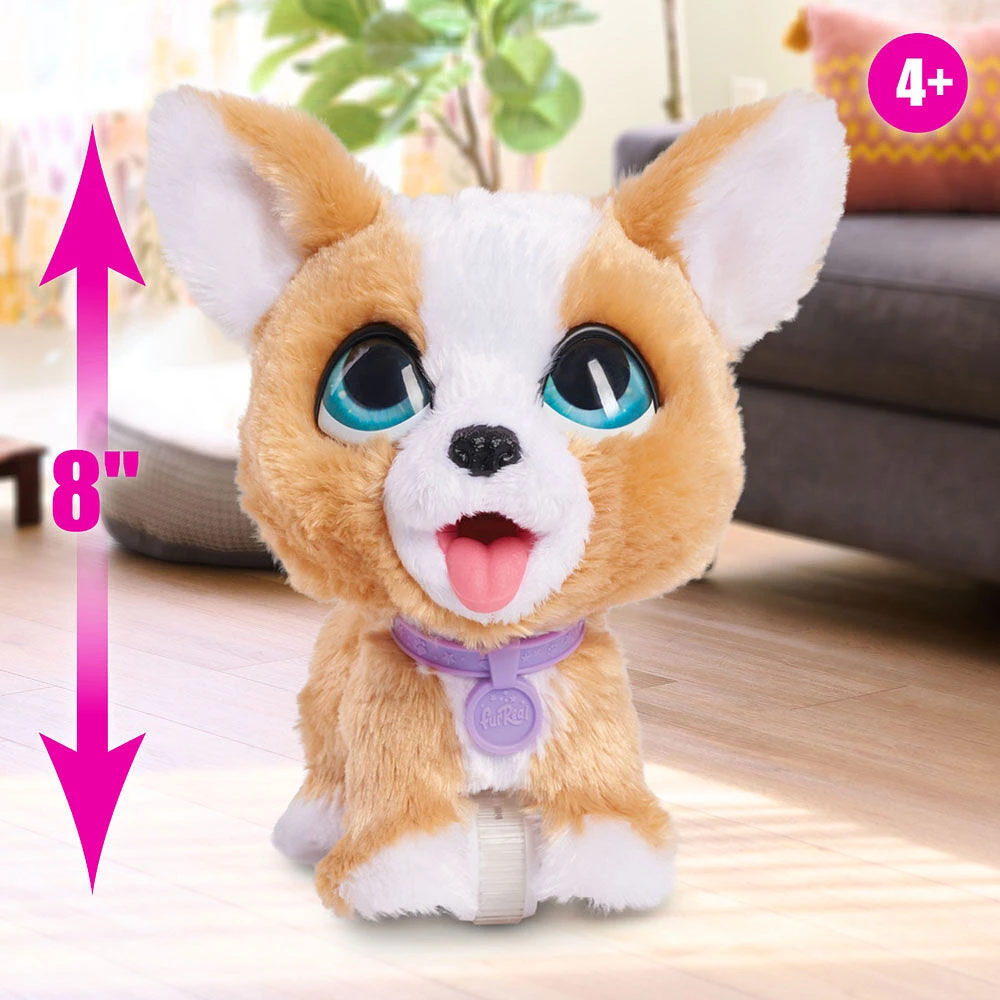 Peluche corgi interactive FurReal