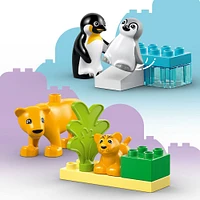 LEGO DUPLO Familles d'animaux sauvages : Pingouins et lions Jouet d'imagination pour un jeu créatif 10442