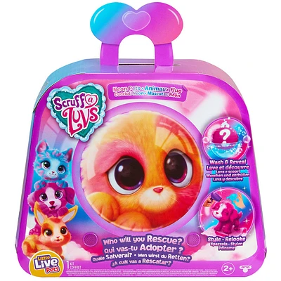 Little Live Scruff-A-Luvs Neon Pets Single Pk