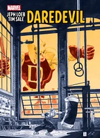 Jeph Loeb & Tim Sale: Daredevil Gallery Edition - English Edition