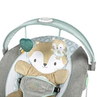 Siège et sauteur InLighten Baby Bouncer - Kitt