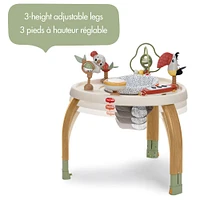 Tiny Love 5-in-1 Here I Grow Stationary Activity Center - Boho Chic Collection