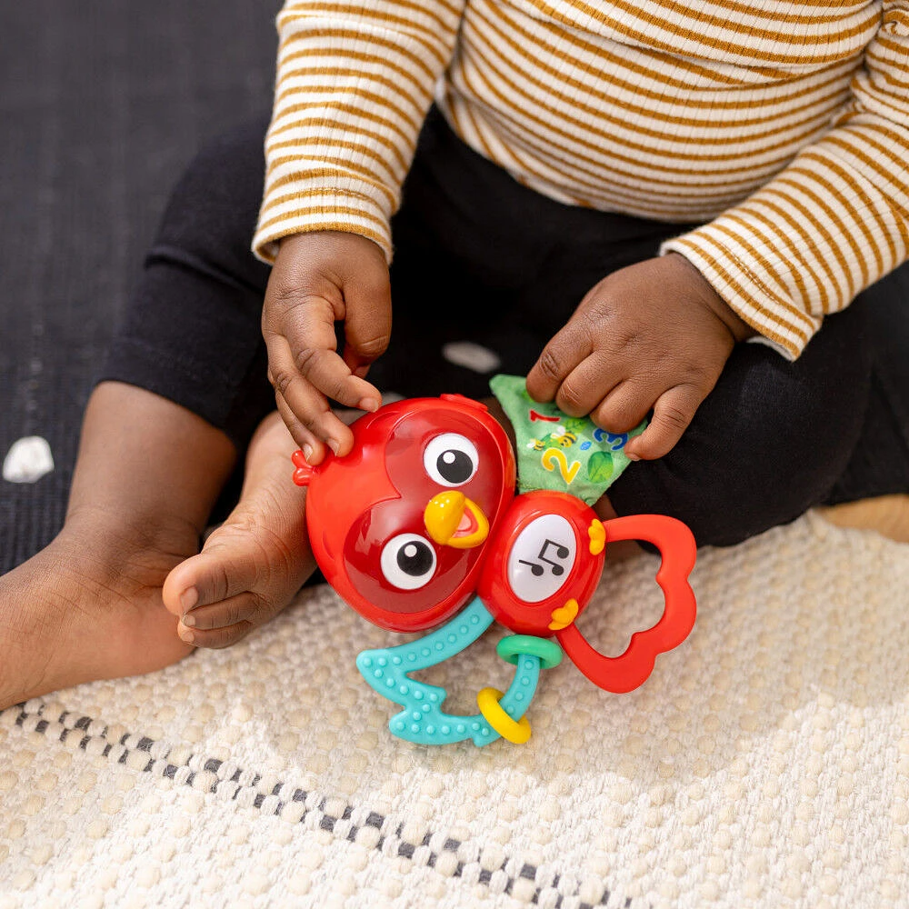 Baby Einstein Roxy's Bright Flight Musical Toy