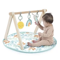 Arc d'activités naturelles d'Ingenuity Sun Valley Wooden Toy Arch et tapis d'éveil Play Mat