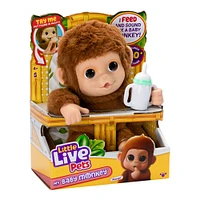 Little Live Pets My Baby Monkey Plush Single Pk